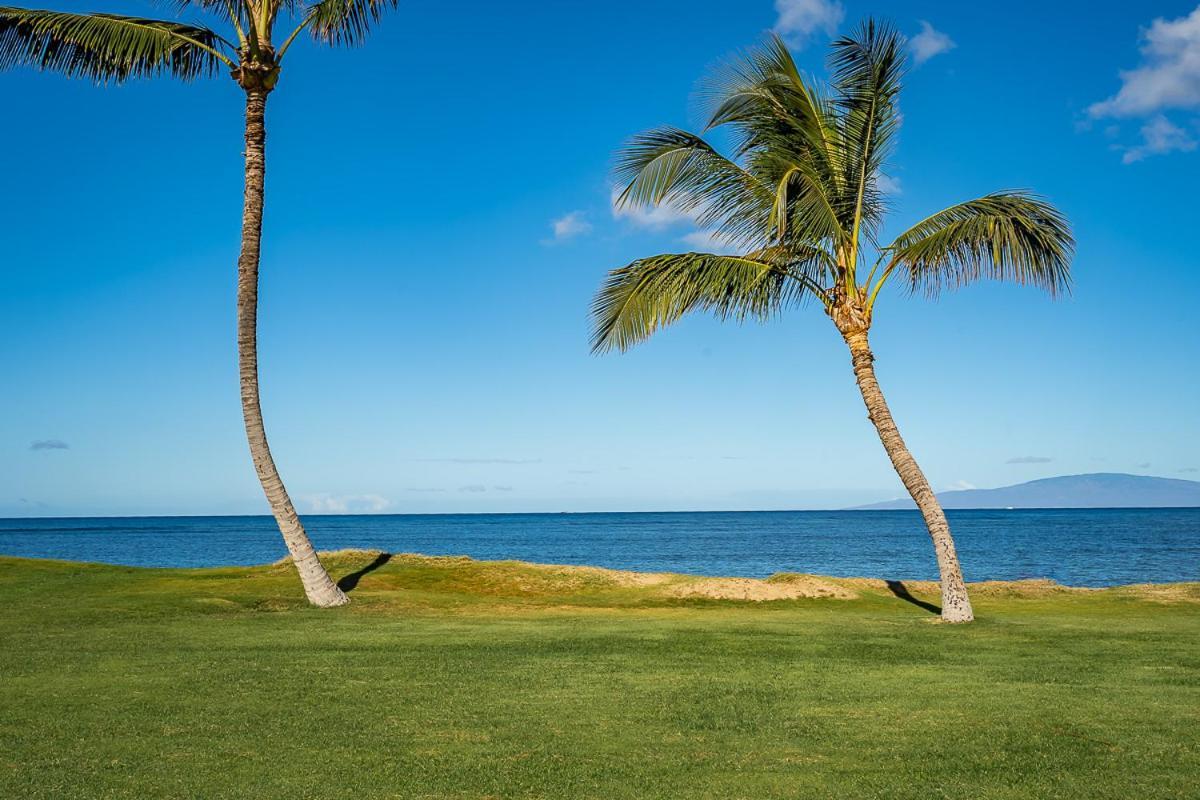 Maui Sunset B-115 Daire Kihei Dış mekan fotoğraf